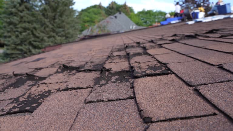 Best Roof Maintenance and Cleaning  in Albion, IN