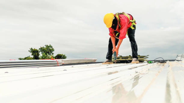 Best Chimney Flashing Repair  in Albion, IN